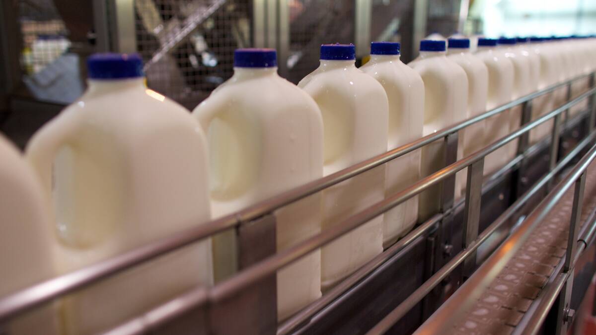 Is $1/L milk to blame for dairy struggles?