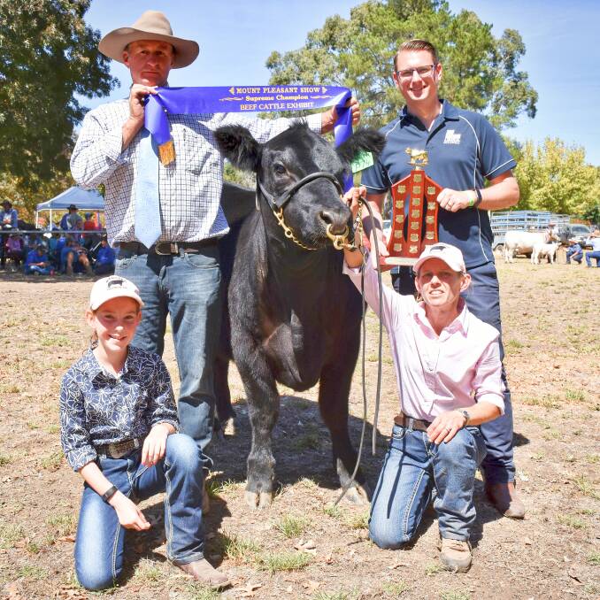 SUPREME EXHIBIT: Maddy and Nat Hann (kneeling), Nampara Pastoral Company, Lucindale, holding supreme exhibit Nampara Penny P74, with judge Anton Volker, Goomaburra Simmentals and Belmore Shorthorns, Naracoorte, and Member for Schubert Stephan Knoll holding the Schubert Perpetual Trophy. Photo: CARLA WIESE-SMITH
