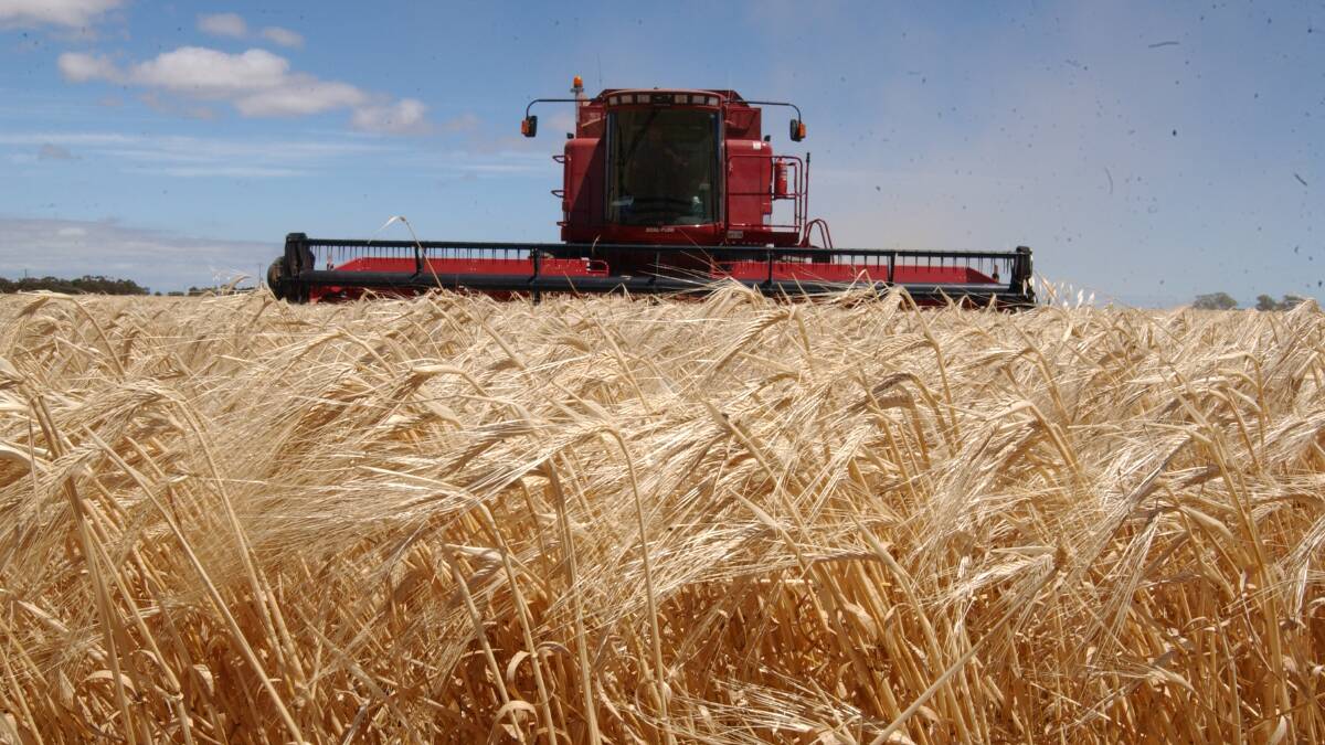 Do you support a grain levy lift? | POLL