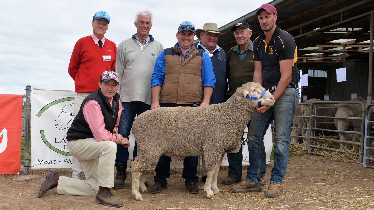 STANDOUT SIRE: Elders auctioneer Steve Doecke (kneeling), Elders Lameroo manager Pat Larsson, Kerry Walker, Robert and Bruce Pocock, Lampata, and Lyn and Trent Walker with the $4300 ram bought by the Walkers.