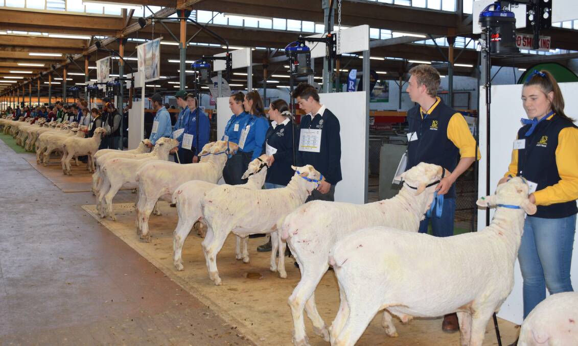 The Schools' Merino Wether Competition was also able to proceed in 2020, albeit with restrictions in place.