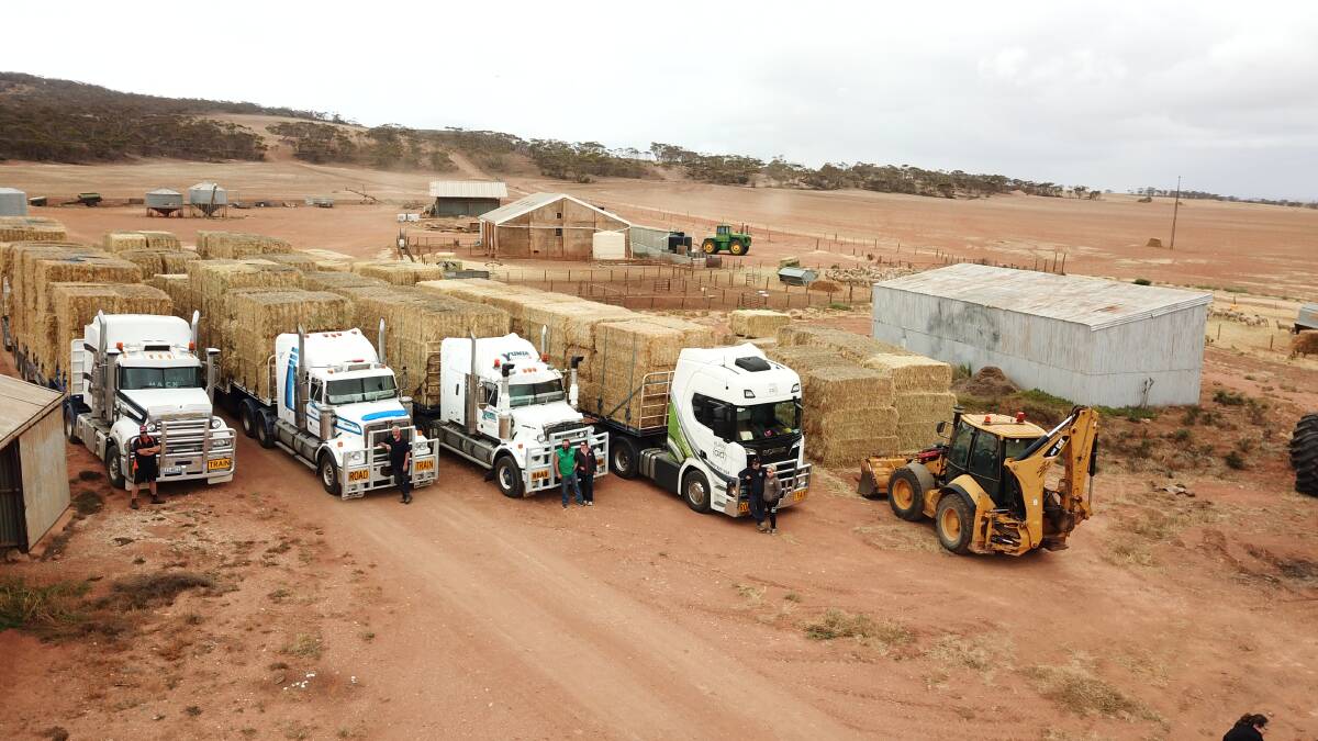 Cowell farmers gathered to welcome road trains full of hay to Middle Camp before the feed was distributed across the district.