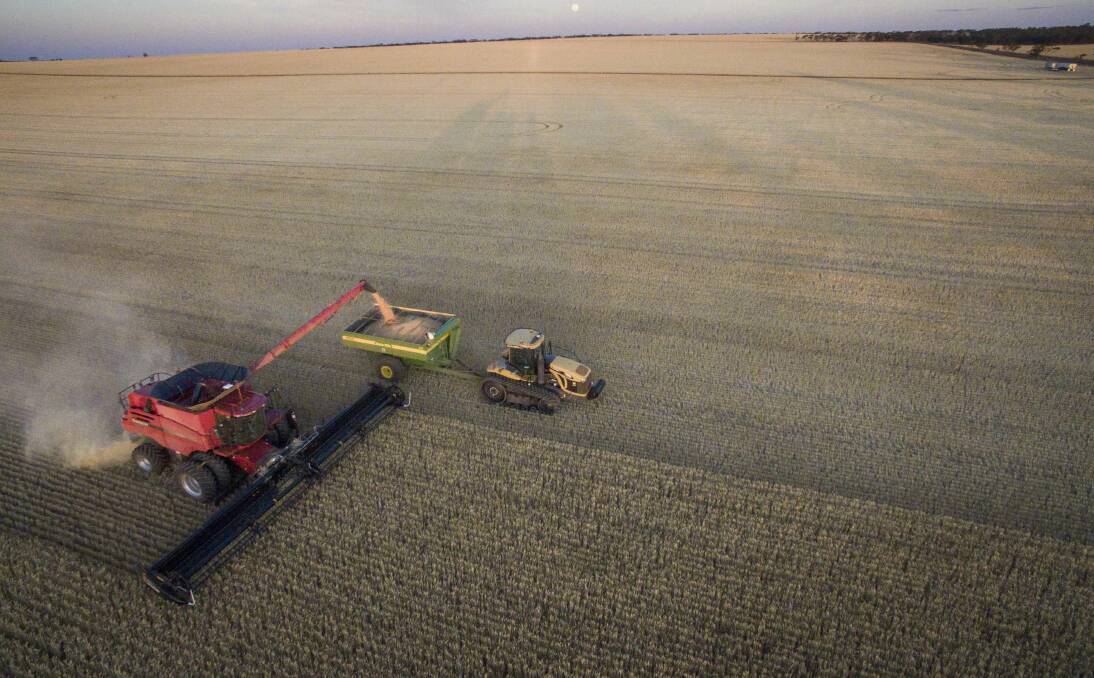 HARVEST TIME: An aerial view of harvest at Buckleboo. Cropping makes up about 60pc of the enterprise.