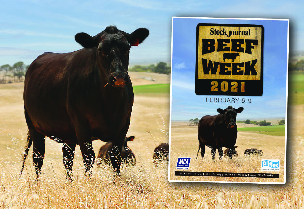 View the 2021 Beef Week program here