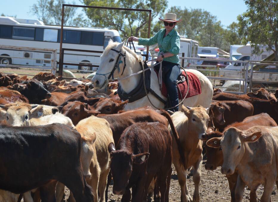 GET 'EM GIRL: Occupational therapist Lil Bryant grew up on Roxborough Downs Station near Boulia and has been competing in bronco branding with her father John since she was 10-years-old. 